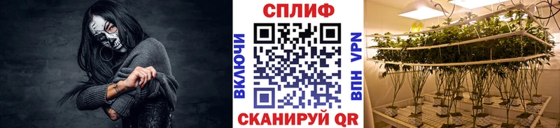 Шишки марихуана Bruce Banner  как найти закладки  Козьмодемьянск 